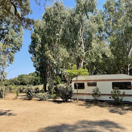 Вілла Camping La Baie Des Voiles Порто-Веккіо Екстер'єр фото